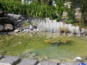 Biotope Teiche | Rupp Gartenbau AG Aadorf Elgg