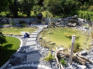 Biotope Teiche | Rupp Gartenbau AG Aadorf Elgg